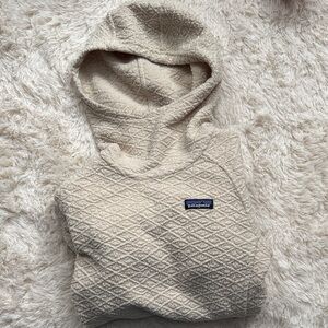 Patagonia Textured Cream Hoodie